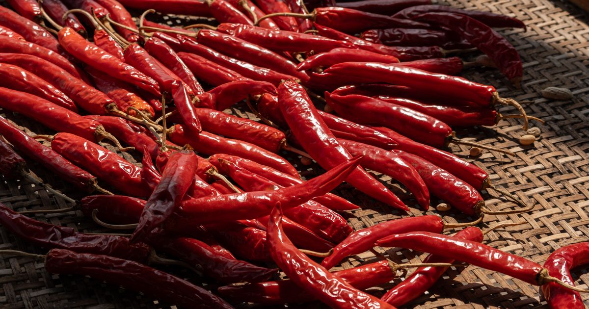 Cayenne Tropical Escape — photo 4
