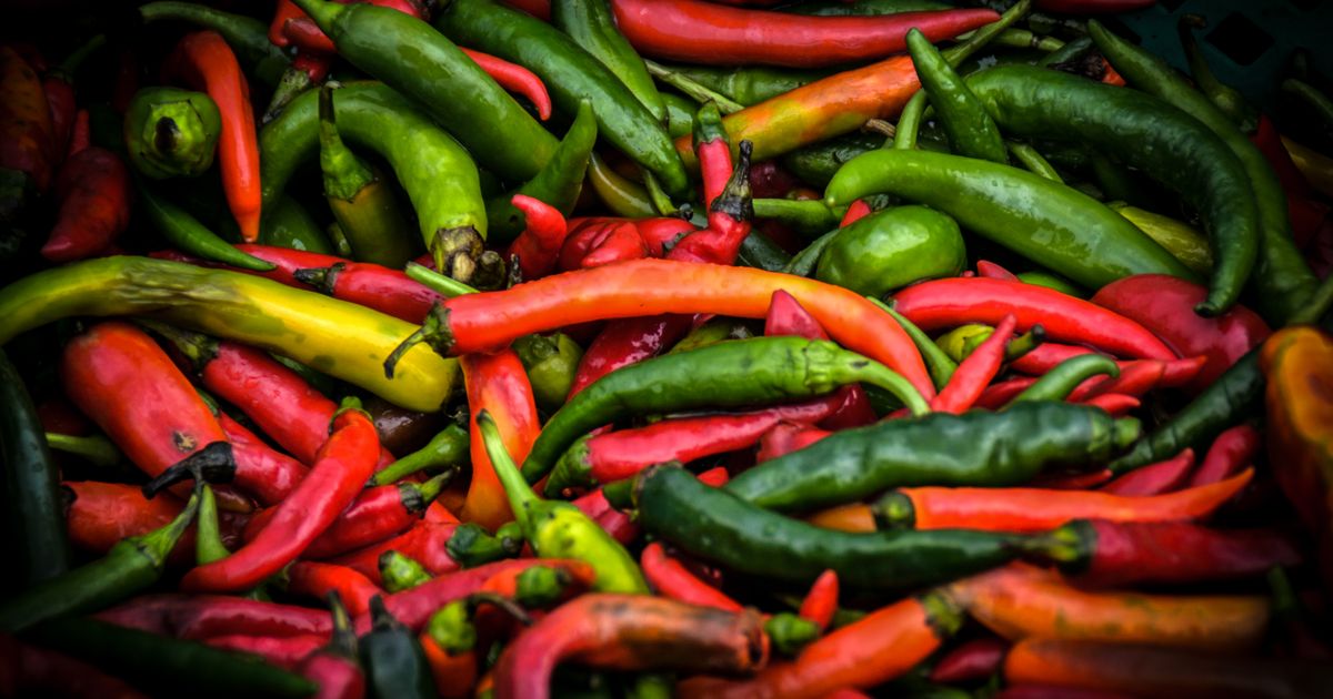 Cayenne Tropical Escape — photo 5