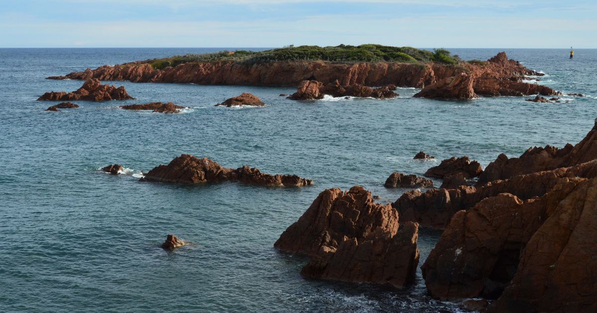 Iles du Salut Escape — photo 5