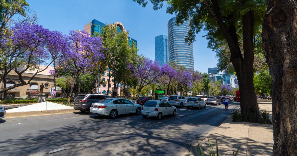 Mexico City Escape — photo 4