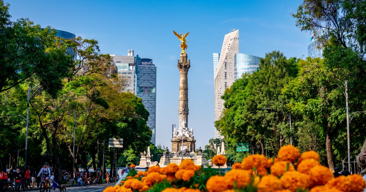 Mexico City Escape — photo 5