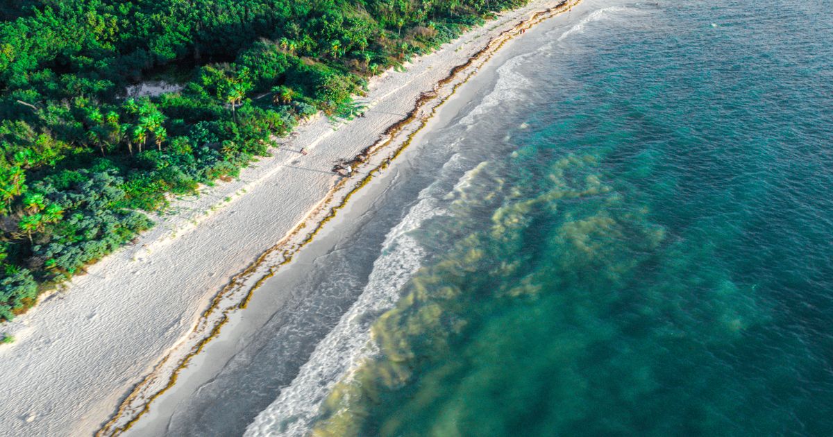 Playa Del Carmen Trip From Los Angeles