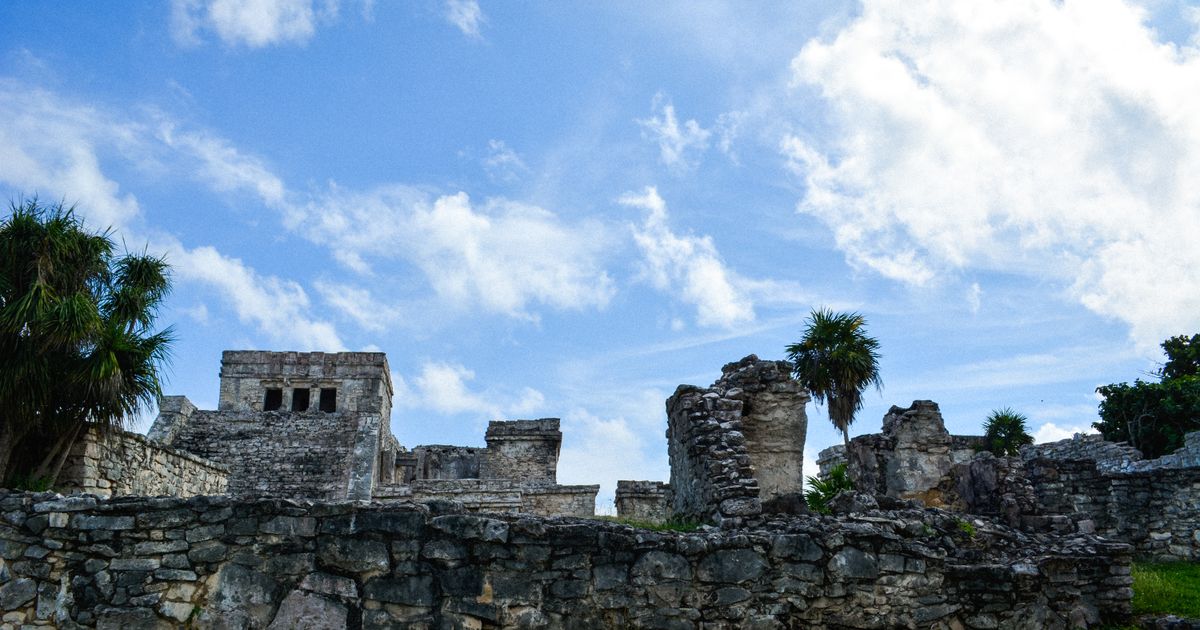 Tulum Retreat — photo 5
