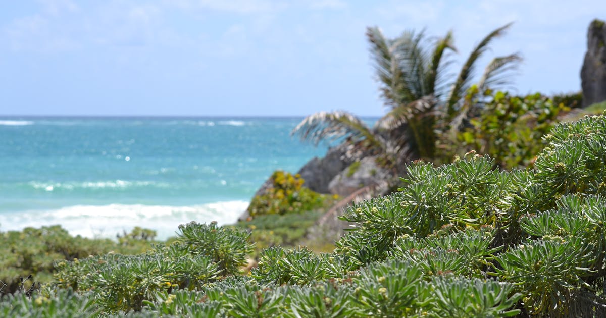 Tulum Budget Package