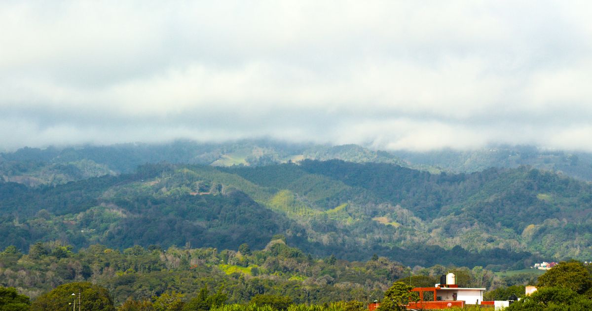 Boquete Nature Adventure — photo 4