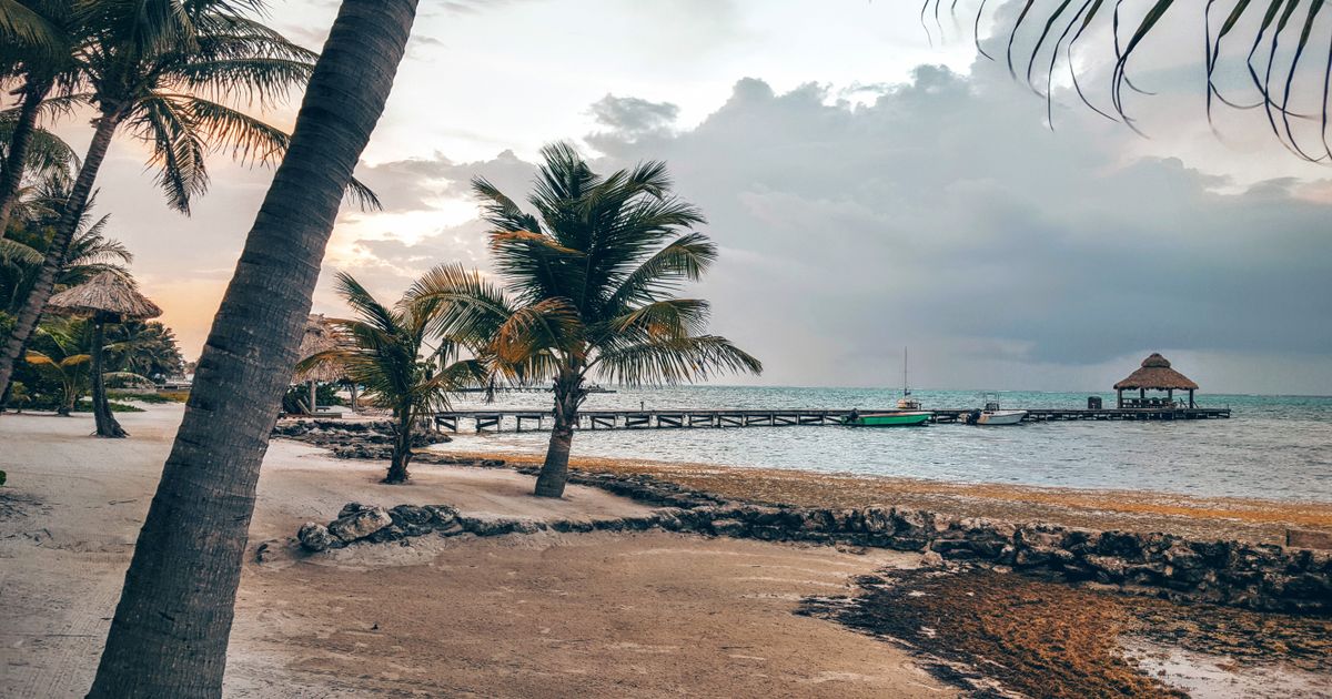 Belize City Jungle Adventure — photo 5