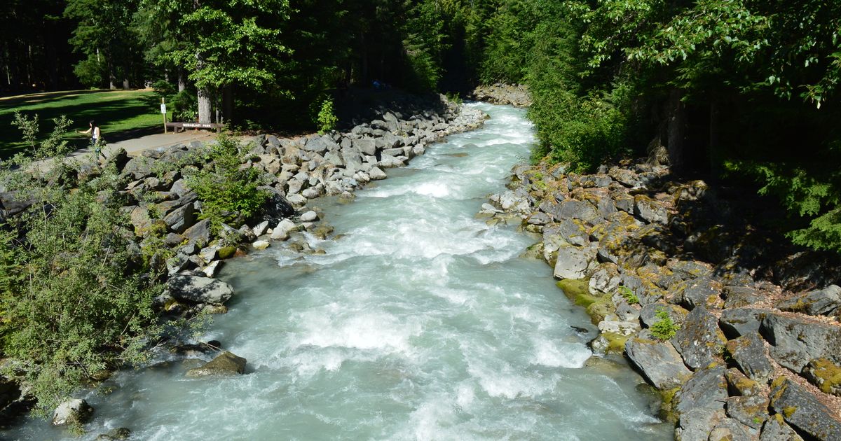 Whistler Escape — photo 5