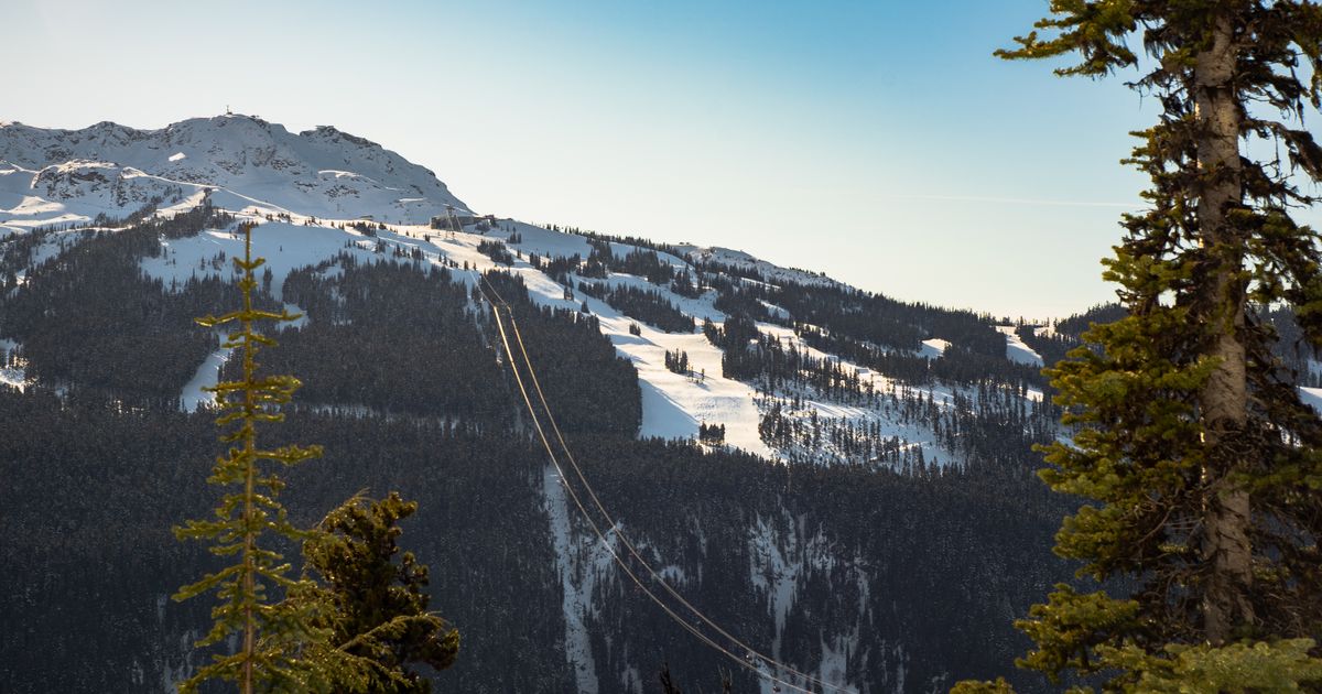 Whistler Retreat — photo 5
