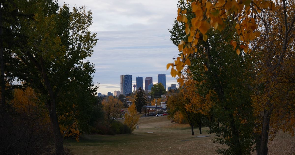 Calgary Urban Experience — photo 5
