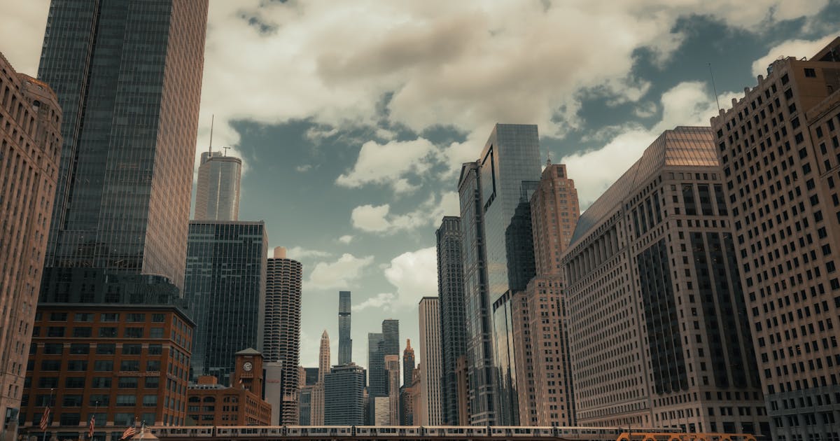 Educational Activities In Chicago