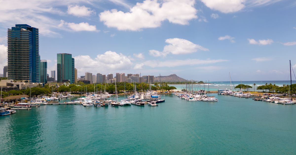 Honolulu Retreat — photo 5
