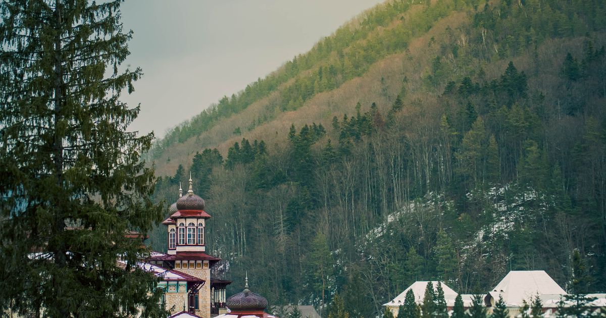 Romania Tour From United Arab Emirates