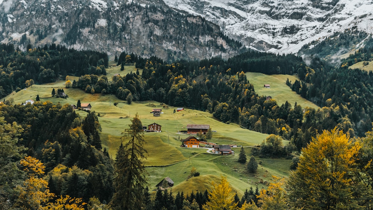 Swiss Heritage Tour