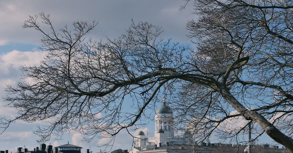 Grand Finland Adventure — photo 4