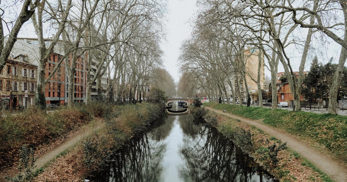 Toulouse Tour From Bucharest