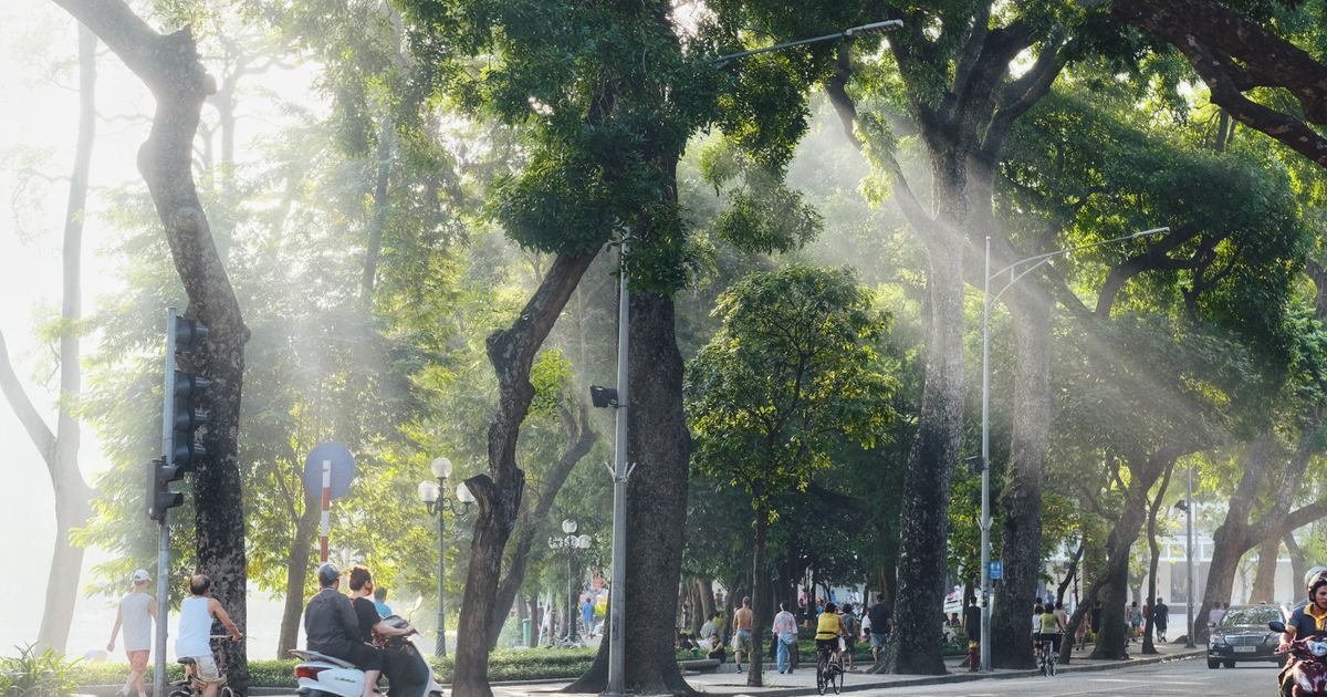 Hanoi Tour From London