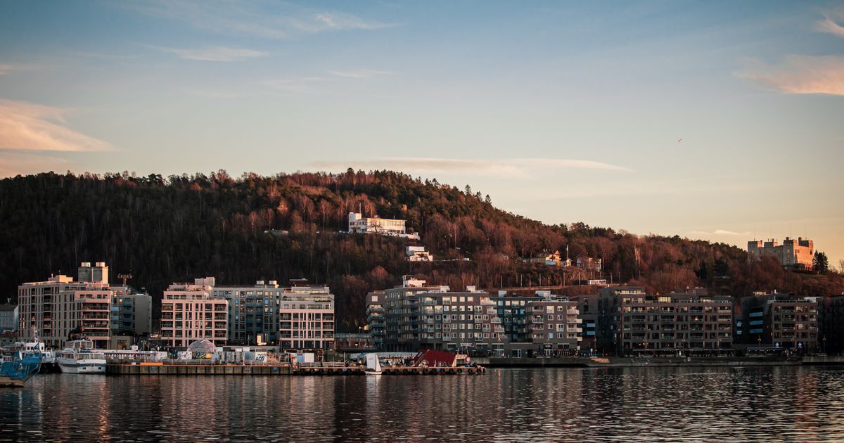 Scandinavian Escape — photo 4