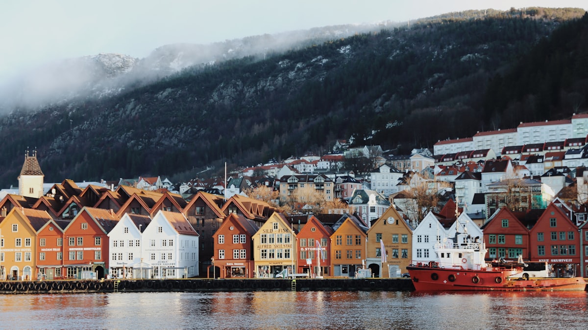 Bergen Tour From Frankfurt