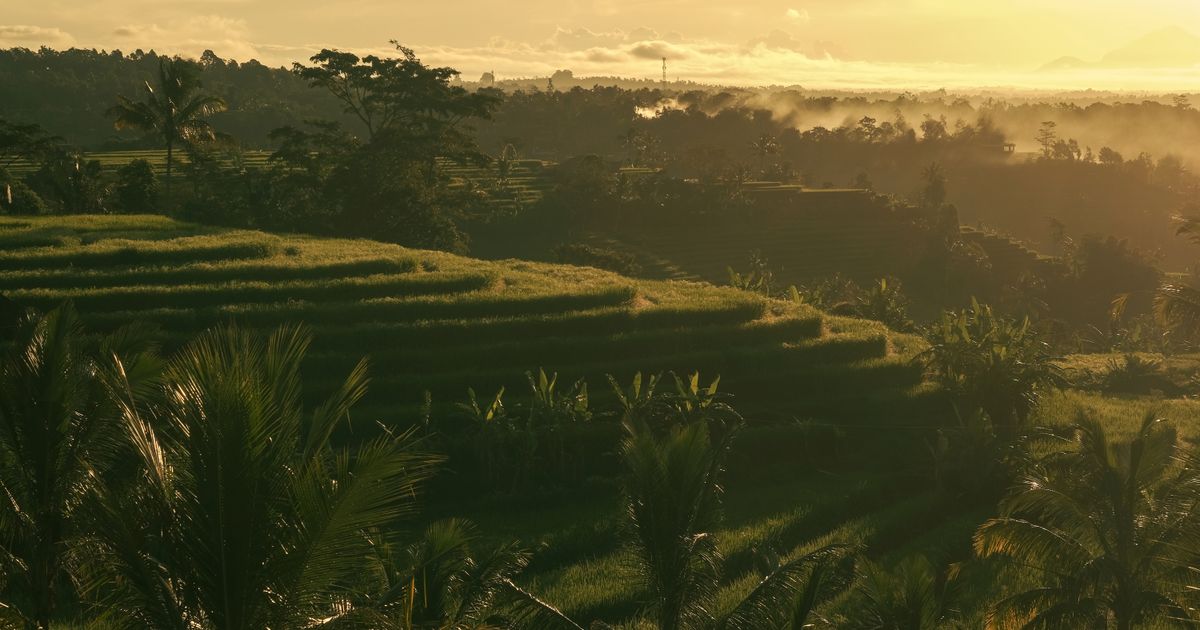 Bali Beach & Culture — photo 5