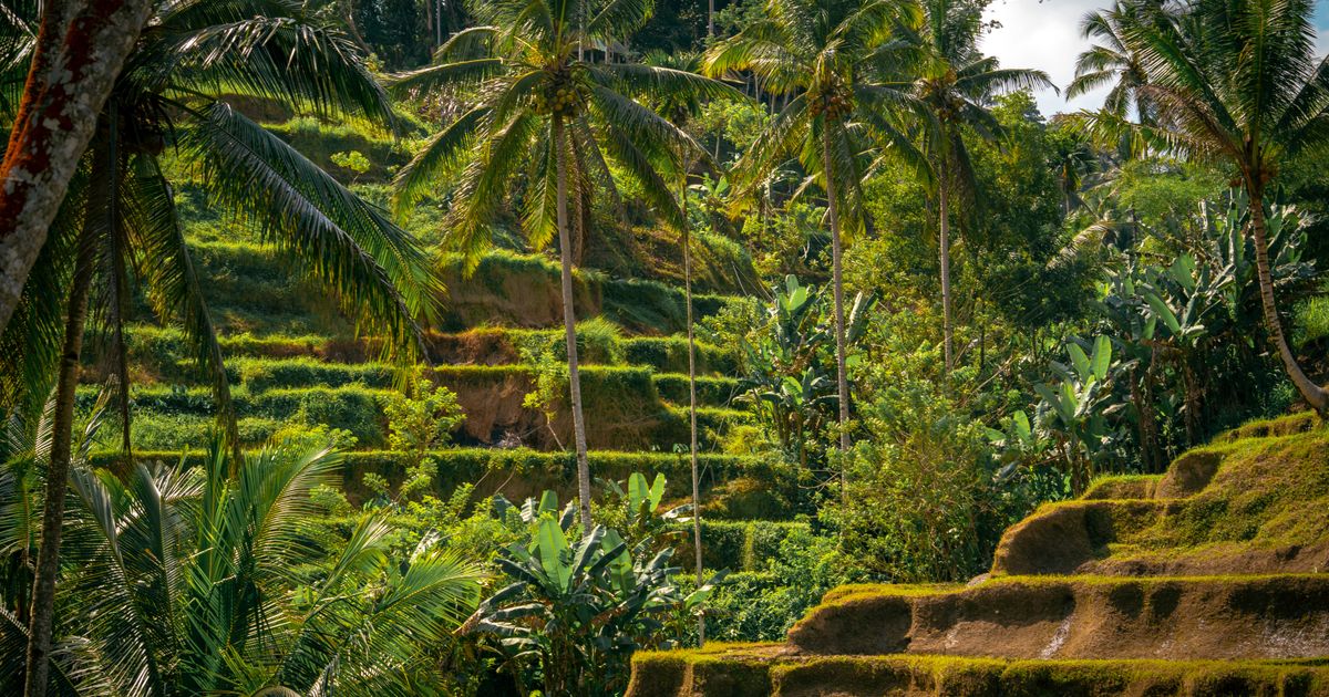 Singapore + Bali Combo — photo 5