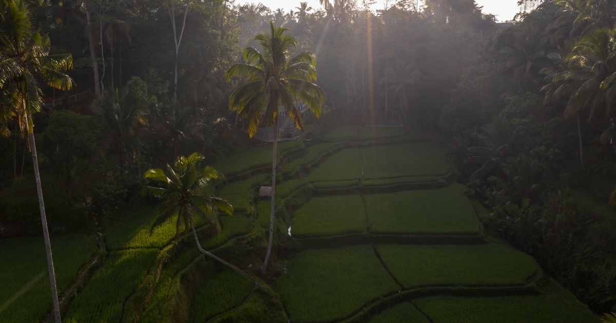 Singapore + Bali Honeymoon — photo 5