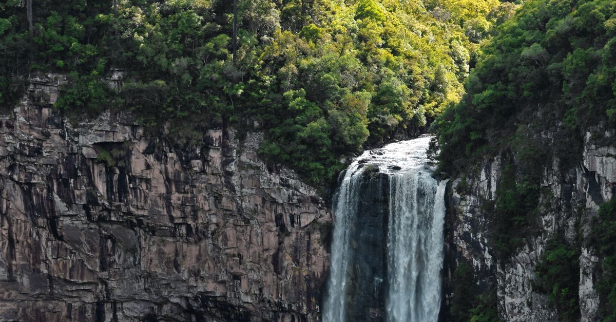 Mount Roraima Trek